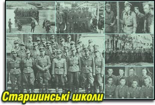 Фотоархів ч. 6: Дивізійники на старшинських школах
